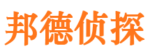 桃山市婚姻调查